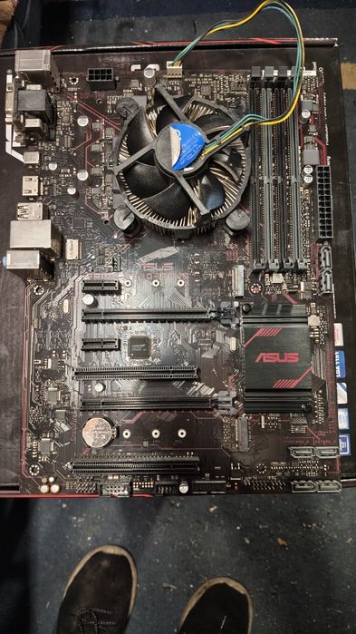 Bundle Asus Prime B250-plus+i5 7400+cooler