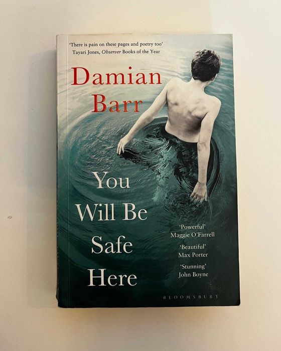 You Will Be Safe Here by Damian Barr