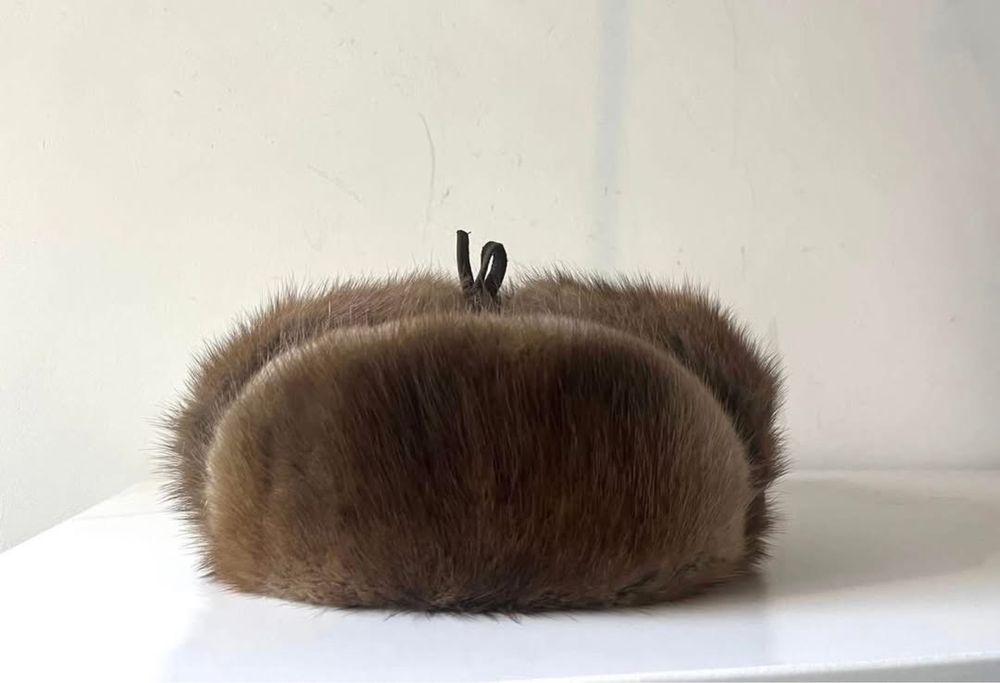 Piękna uszatka z norki