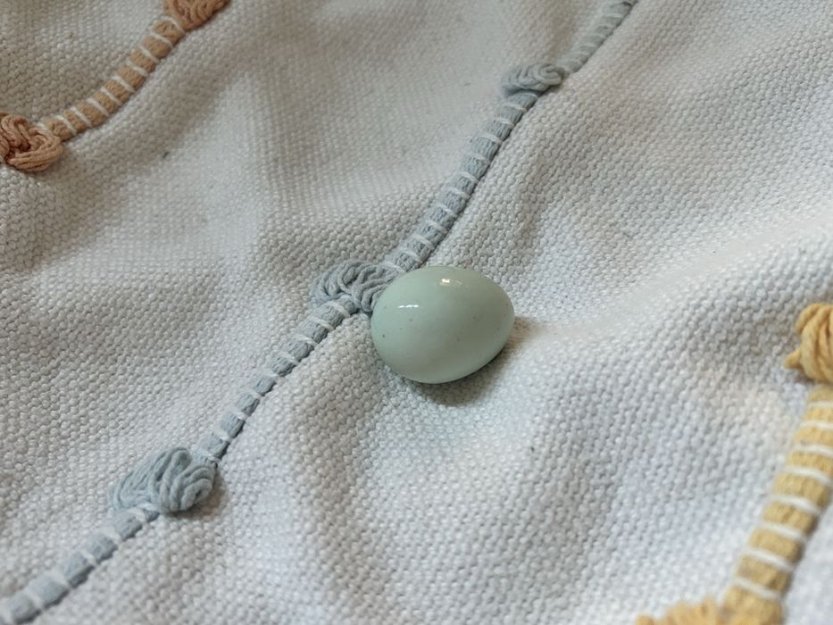 Młode kogutki przepiórki Celadon – Gen błękitnego jajka! (Promocja na pakiety)