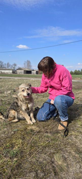 Fragles cudo misio kudłaty szuka chaty