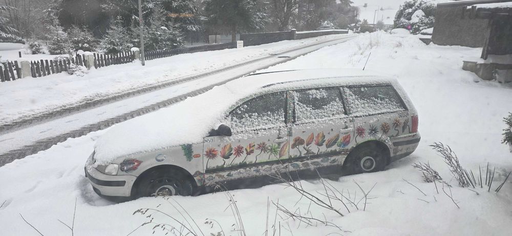 Naklejka na auto RYBA - kraw. zabezp. pędzelkiem-druk pigment 2 L.Gw.