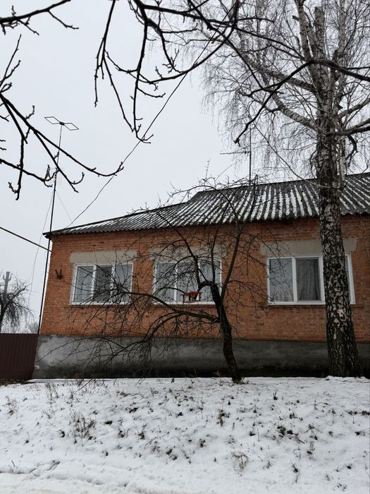 Продам будинок в центрі Богодухова