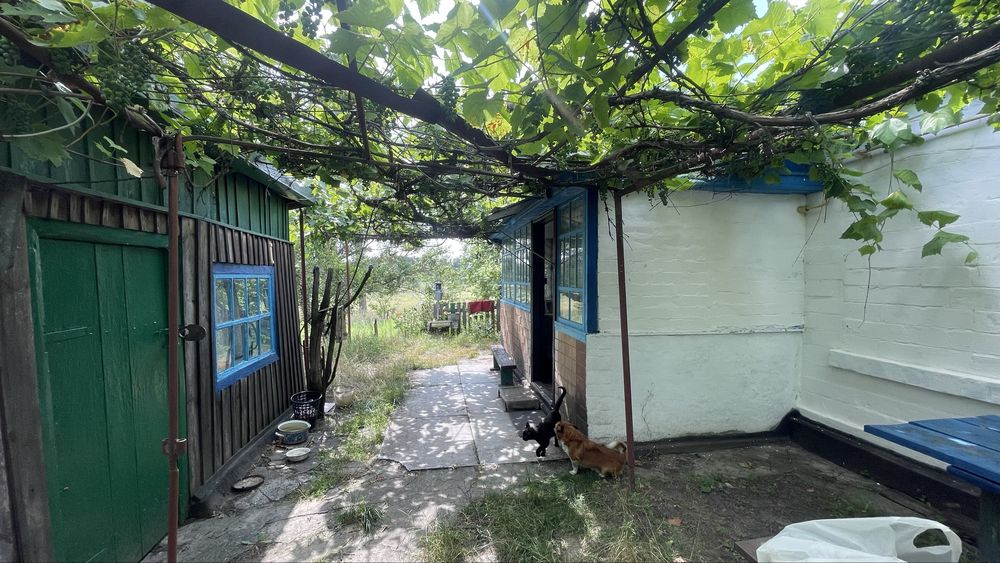 Продам будинок з санвузлом і газом біля річки с.Михайлівка