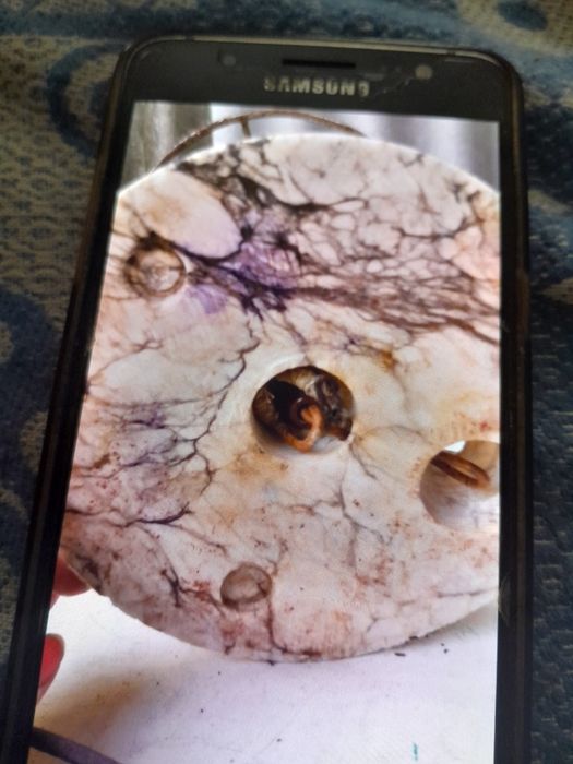 Настольные лампы под ремот