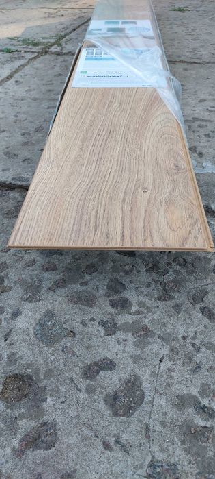 Продам ламінат  Atlantic 10 (8169 Polish Oak / Дуб
