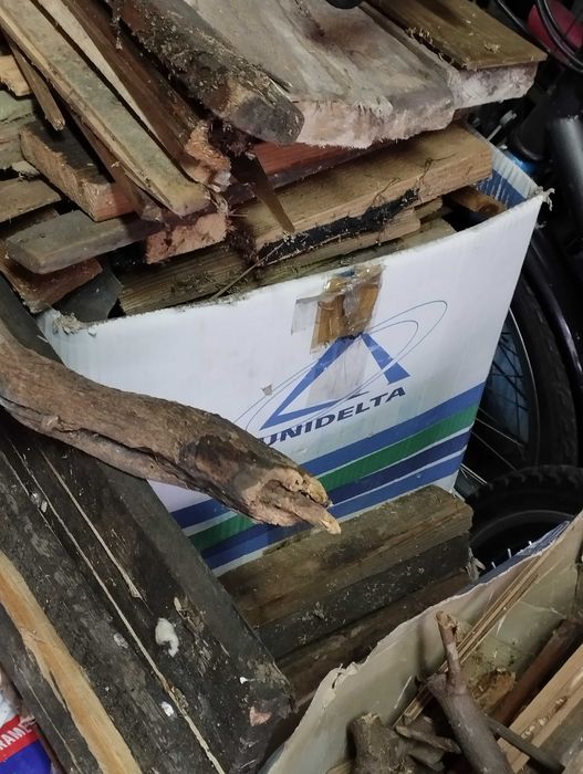 drzewo drewno deski pieńki pilnie sprzedam