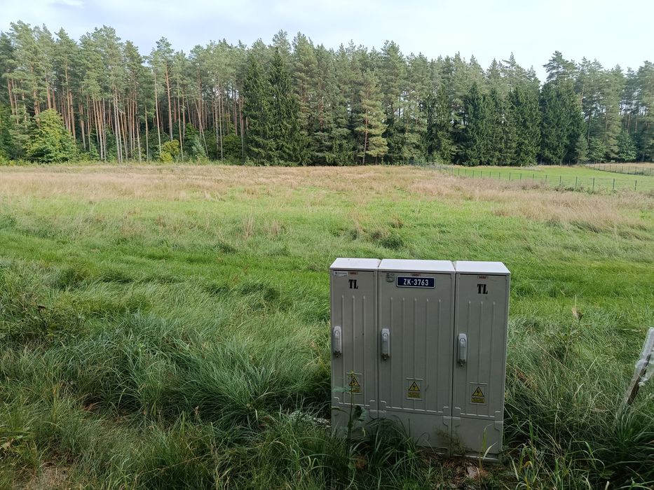 Działka budowlana 3000m w lesie blisko jeziora Oferta prywatna