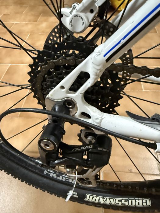 Bicicleta BH estimada