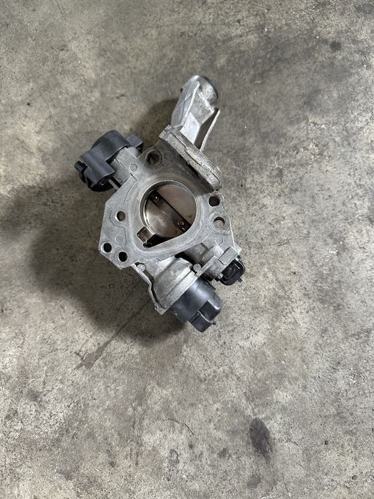 Borboleta tbi clio 2