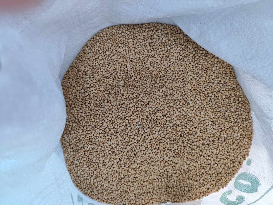 Ovos galinhas felizes