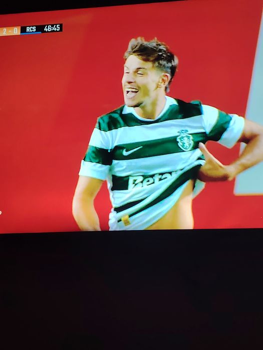 TV 55 polegadas a funcionar na perfeição