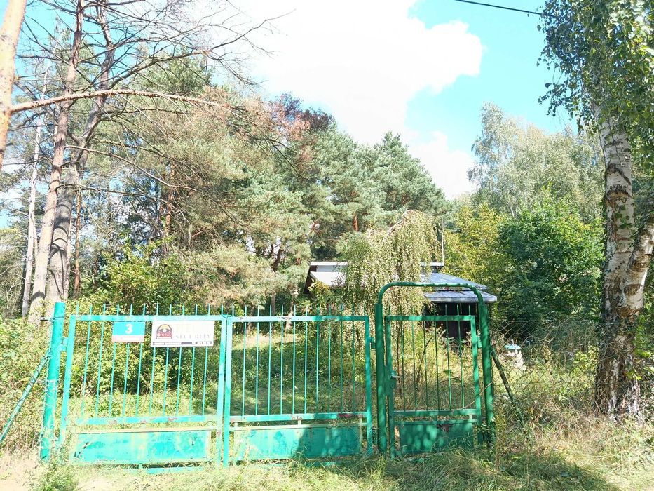 Zdjęcie 8