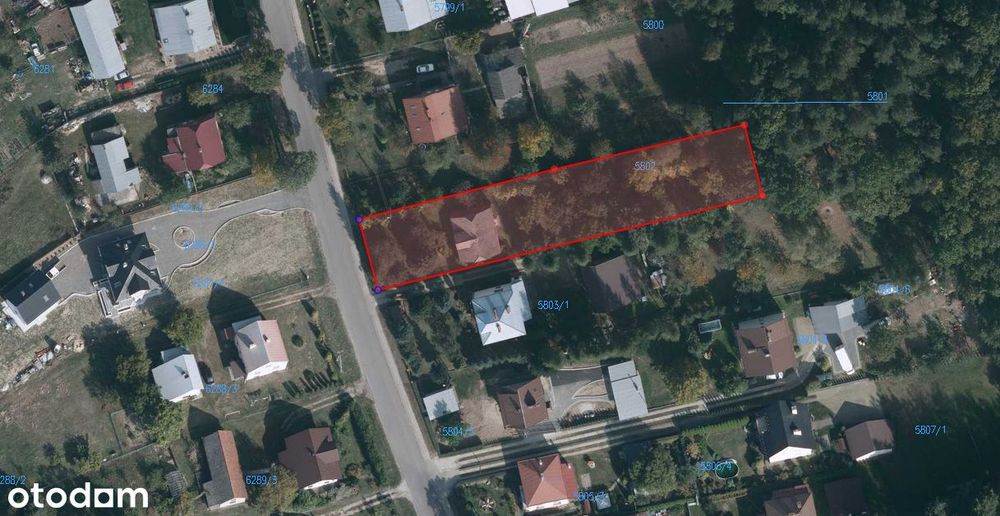 Działka budowlana 18 ar – Rakszawa – przy lesie - Widok 5