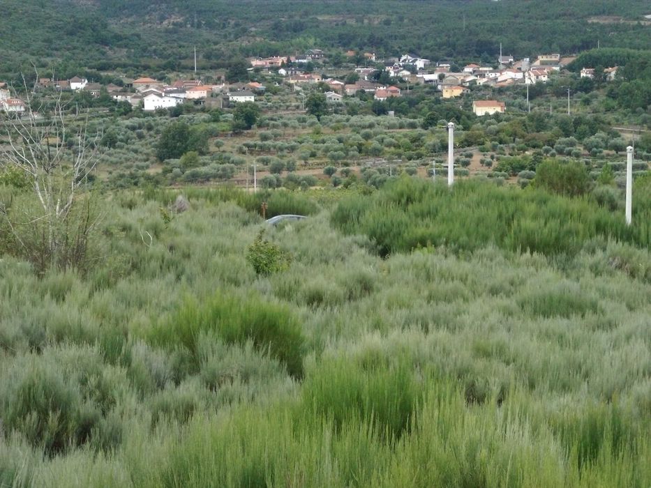 Terreno RUSTICO 3500m2 c/ vista deslumbrante sobre Albufeira Rio Vilar