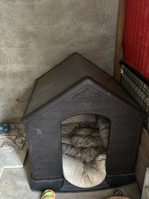 Casota para cao