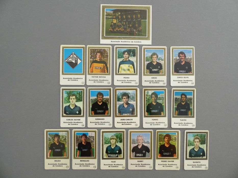 Calendários Coleção Cromogal, Os notáveis da 1ª Divisão 1987/88