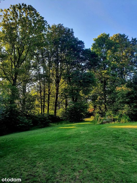 Działka Rydzynki obok Zofiówka budowlana zadbana unikat duża jedyna