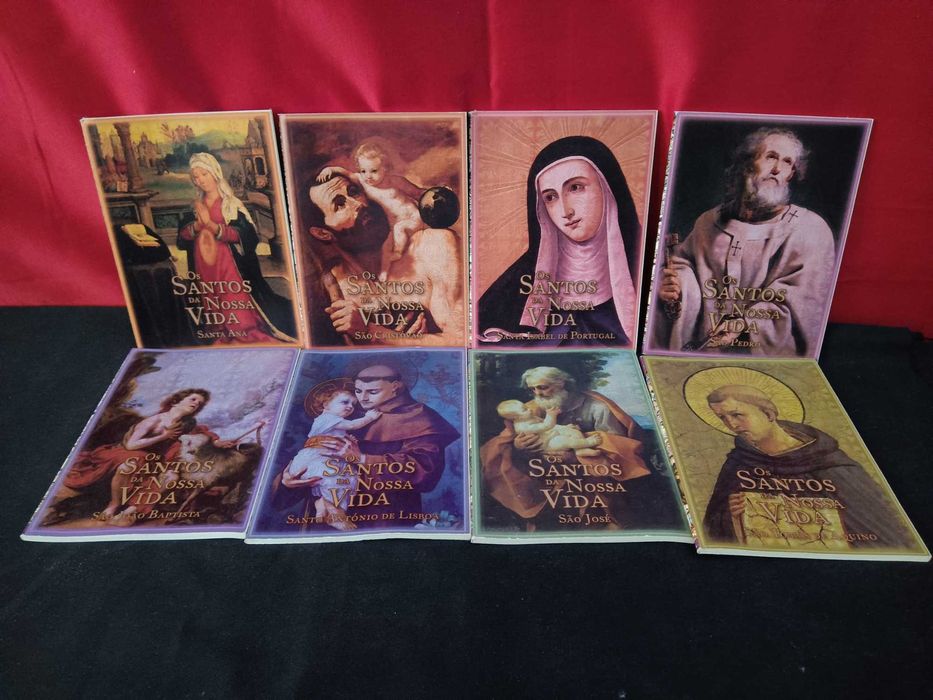 Os Santos da Nossa Vida 16 livros