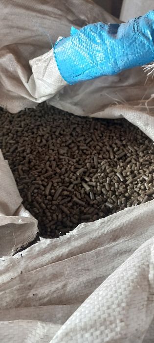 Pellet z łuski słonecznika