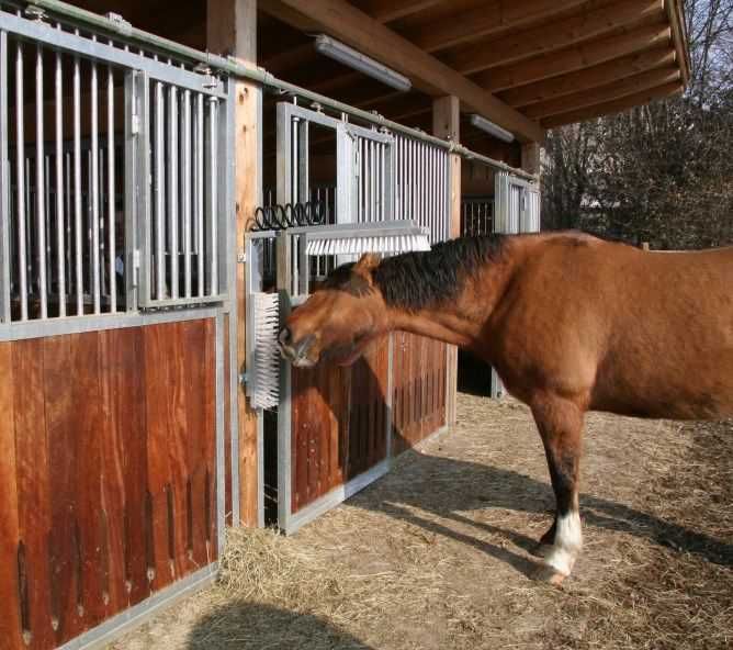 Czochradło dla bydła Texas Czochradło dla krów - 2 głowice