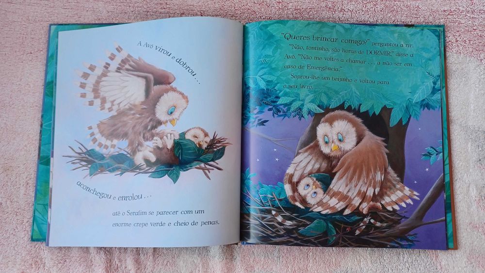 Livro: Não Tenho Sono!