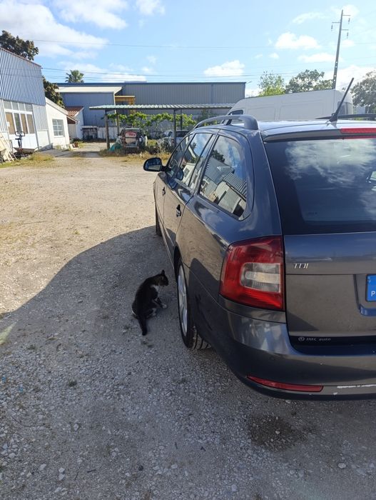 Skoda Octavia 1Z 1.6 TDI SW do Ano 2012 .Apesar dos seus 310.000km, a carrinha está impecável de mecanica