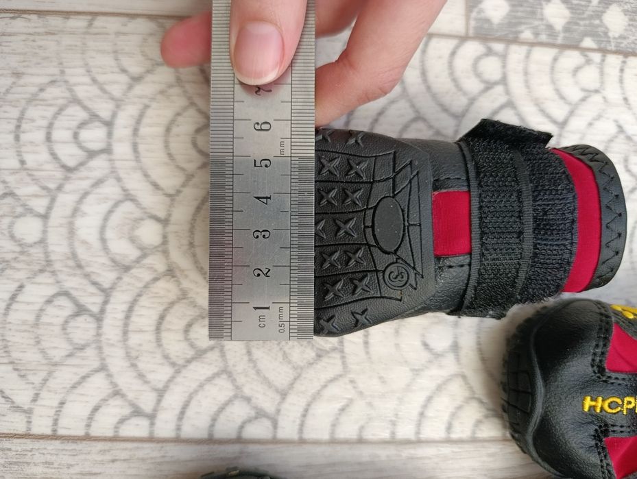 Взуття для собак