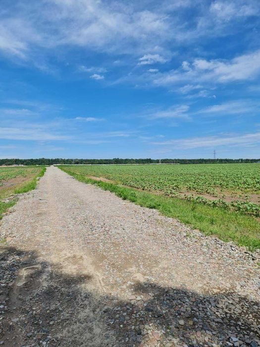 Крюківщина. Земельна ділянка під забудову, від 5 соток, ТУ на світло