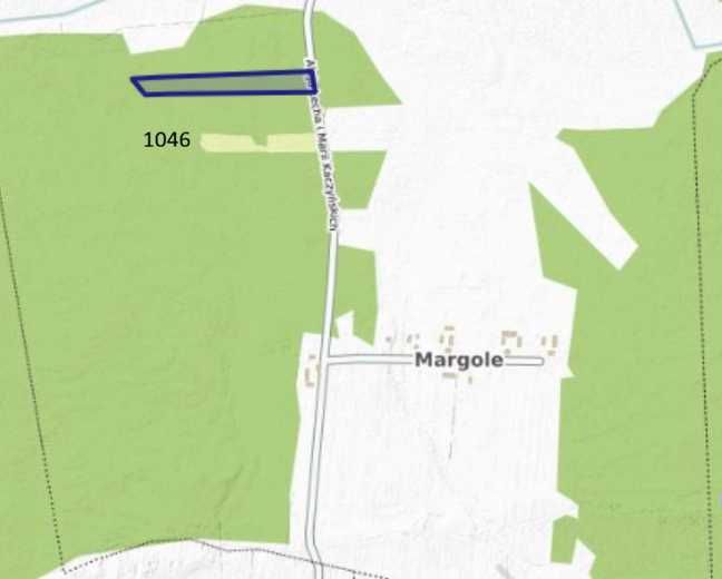 Sprzedam 4,35ha gruntów leśnych - Margole