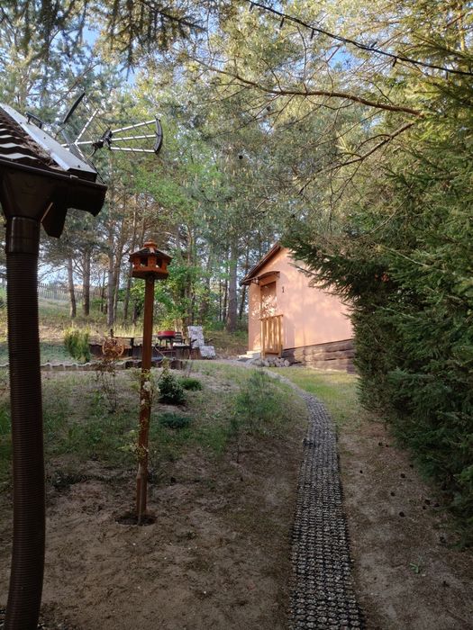 Domki nad jeziorem