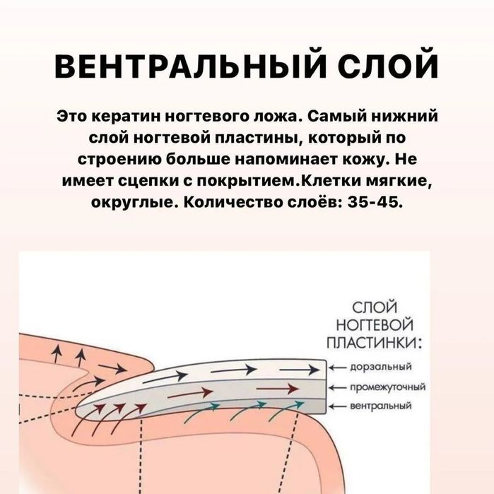 Курсы маникюра для начинающих мастеров