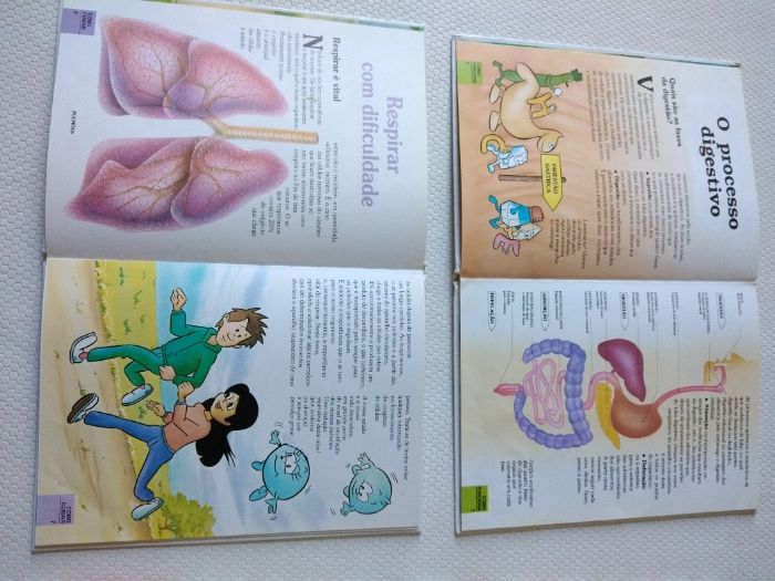 Coleção completa livros "O corpo humano"