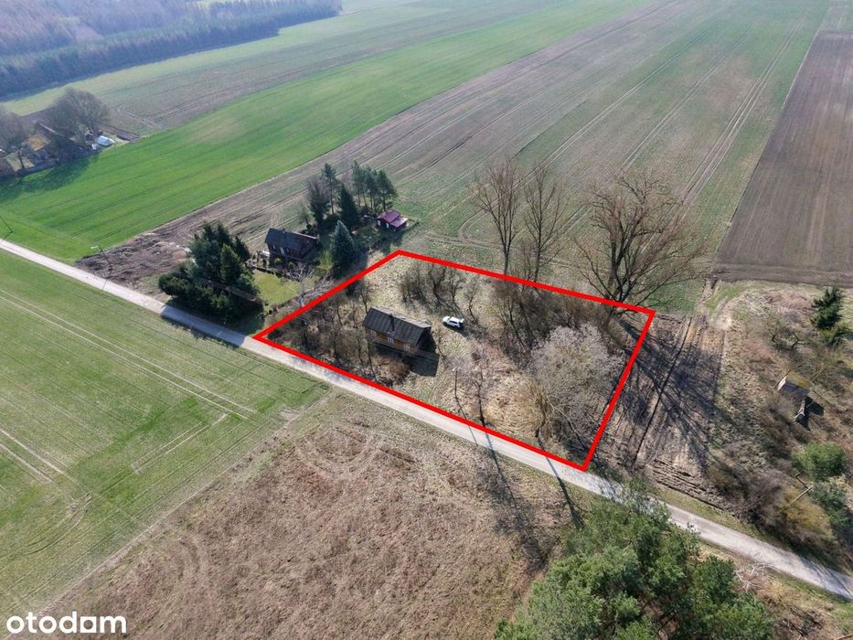Działka siedliskowa 3056 m² z mediami, Piotrkowice, gm. Wodzisław