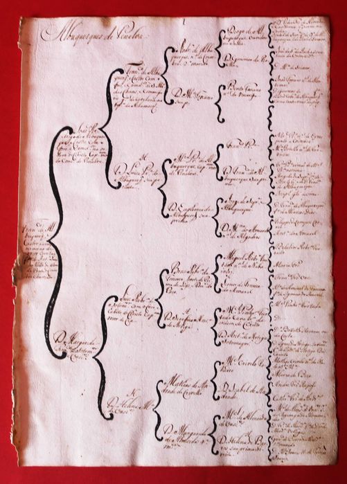 Albuquerques de Penalva // Carvalhos de Guimarães 2 árvores costados