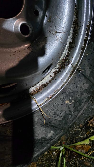 Koło 16" zapas zapasowe Ducato Iveco  Iveco Boxer Jumper