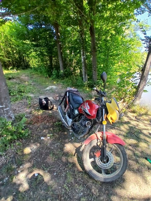 продам  Geon Pantera gn150-11 2012