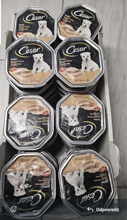 Karma dla psa Cesar Junior 150 g, 42 szt