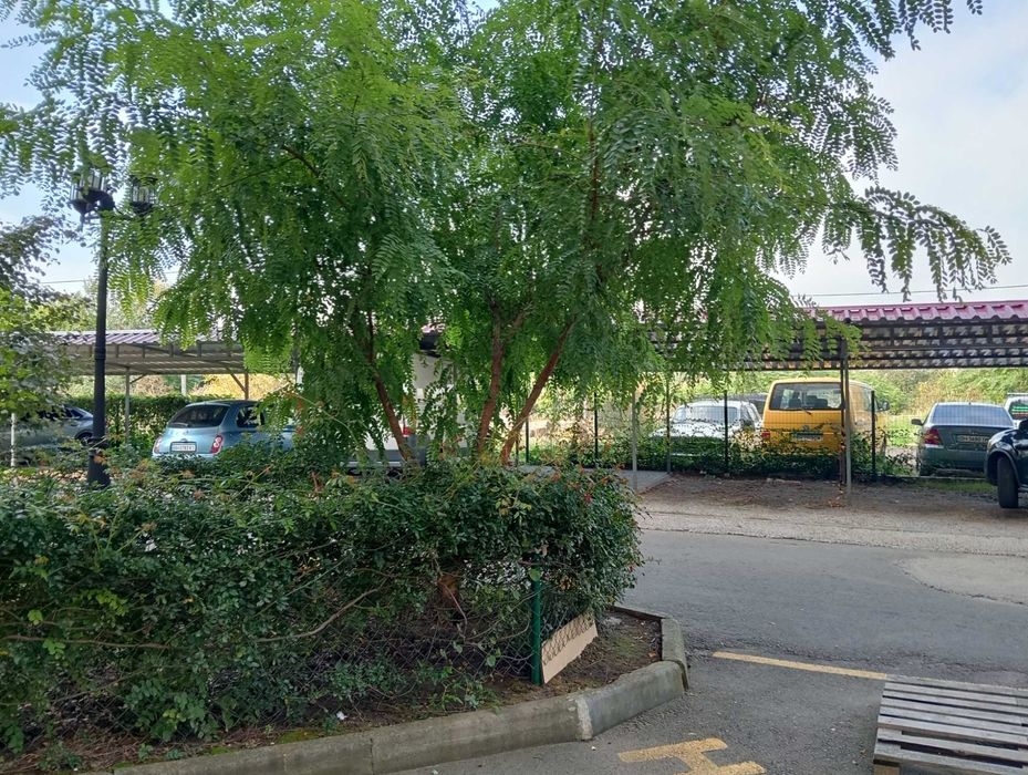 2-кімнатна квартира за адресою вул. Макаренка (площа 45 м²) - Atlanta.ua - фото 10