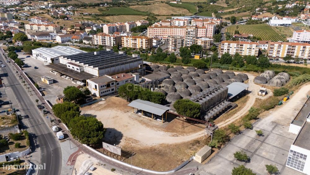 Uma adega com história, pronta para o futuro em Arruda dos Vinhos