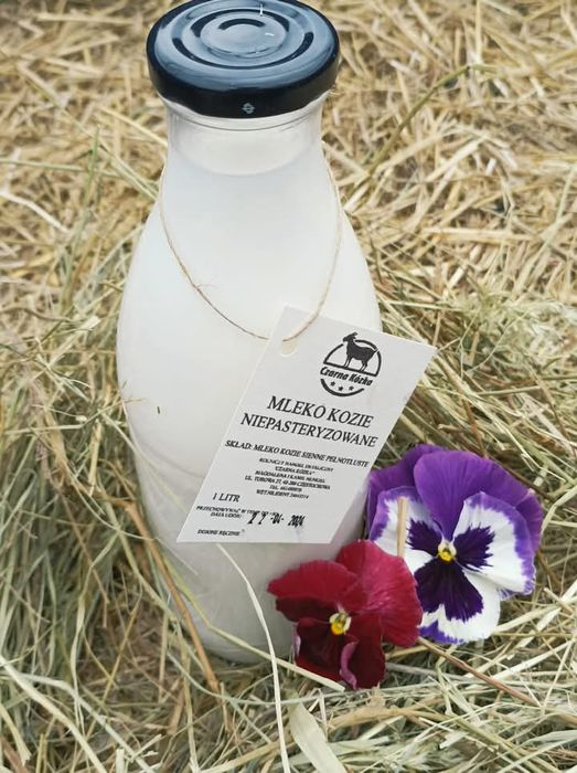 Mleko i sery kozie