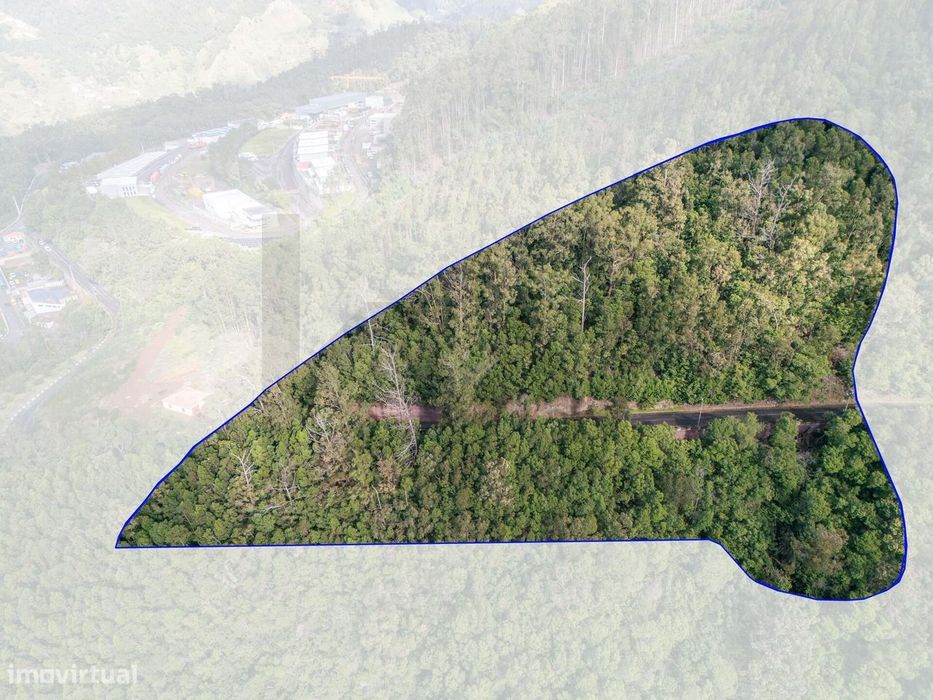 Terreno 6330.78 m2, Campanário, Ribeira Brava