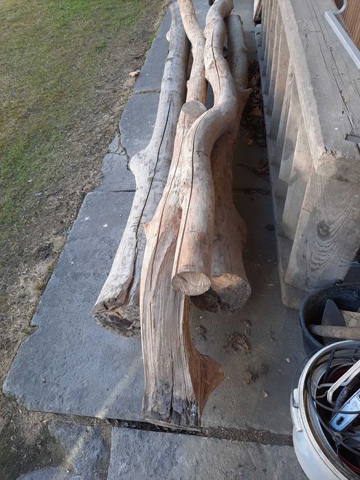 Sprzedam pnie jesionowe.