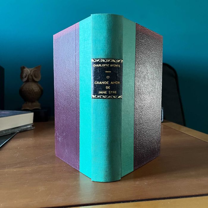 Charlotte Brontë - O Grande Amor de Jane Eyre (envio grátis)