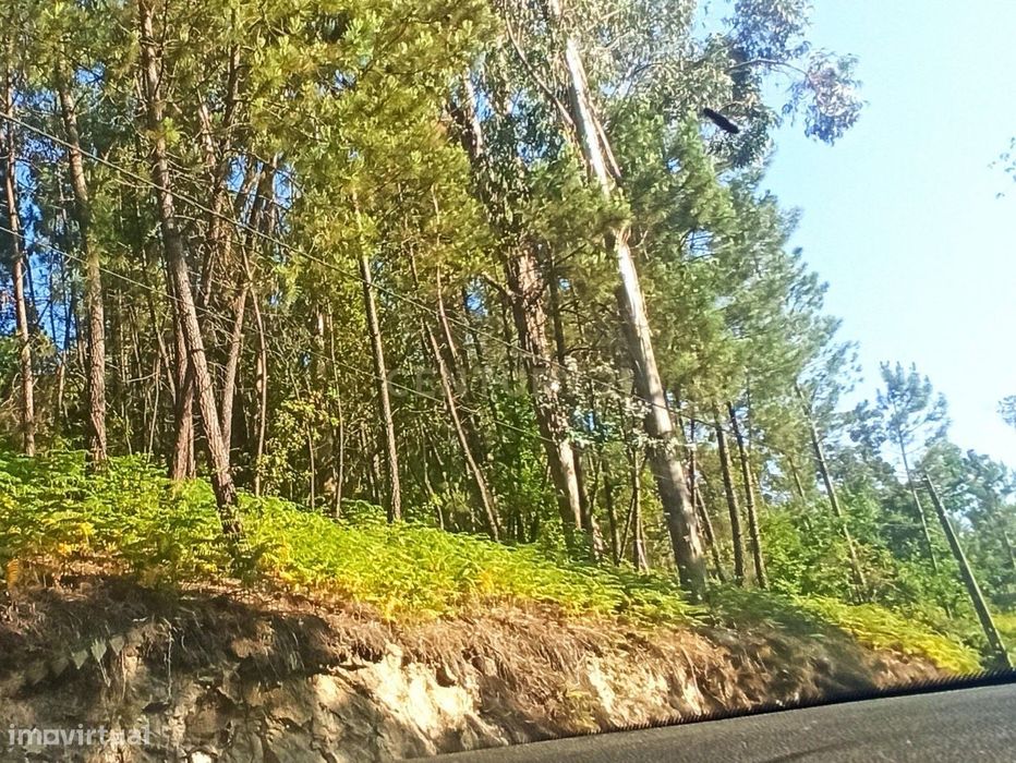 Terreno em Orgens — Orgens, Viseu