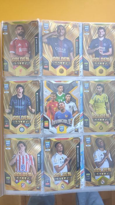 Album FIFA 365  adrenalyn xl