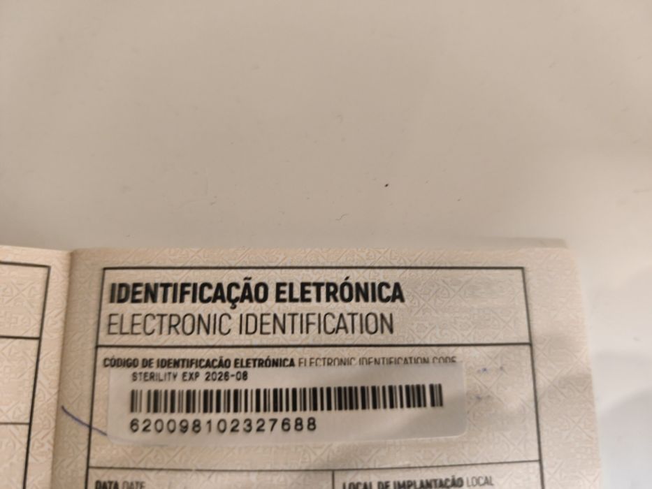 Gatinha Scottish Straight