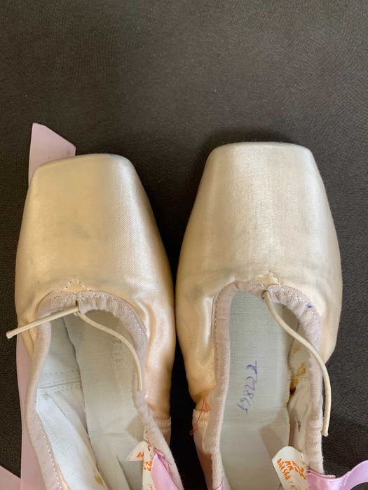 Пуанты  SANSHA M4  Модель 101 по стельке 17см.