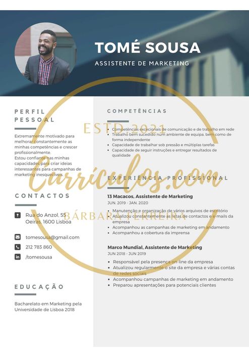 Currículos Profissionais