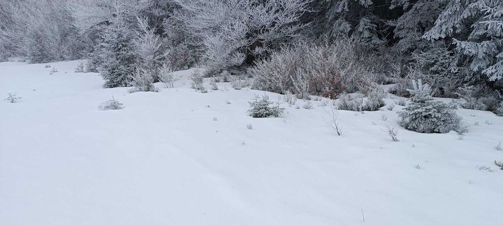 Земля в Закарпатті біля озера "Синевир"